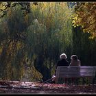 Blühender Herbst des Lebens