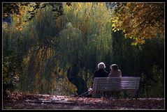 Blühender Herbst des Lebens