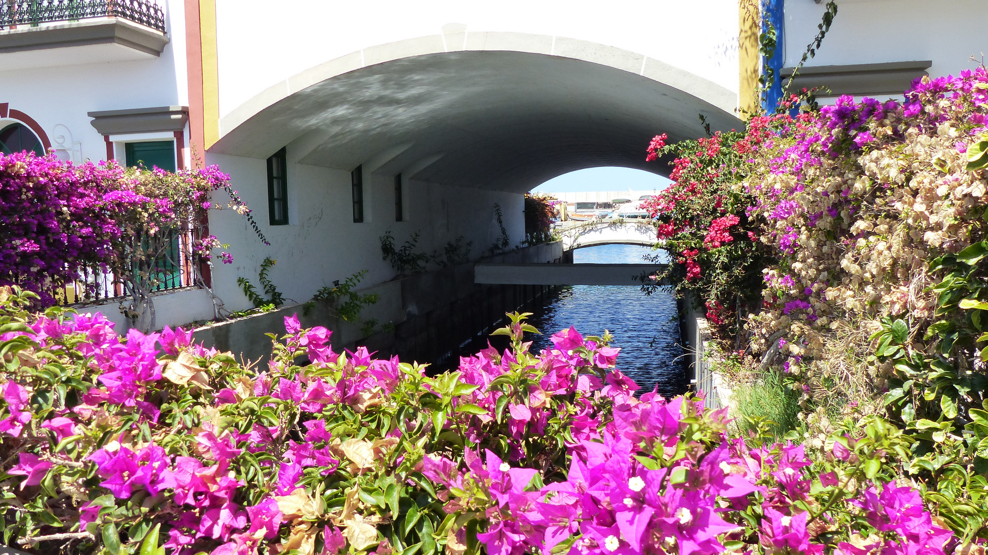 "Blühender" Kanal in  Puerto de Mogán in Gran Canaria