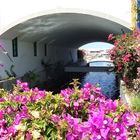 "Blühender" Kanal in  Puerto de Mogán in Gran Canaria