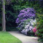 Blühender Klosterpark Koblenz-Arenberg