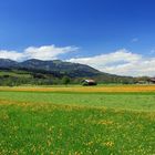 Blühendes Allgäu