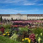 Blühendes Barock Ludwigsburg 