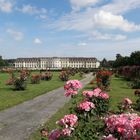 Blühendes Barock Schloss Ludwigsburg