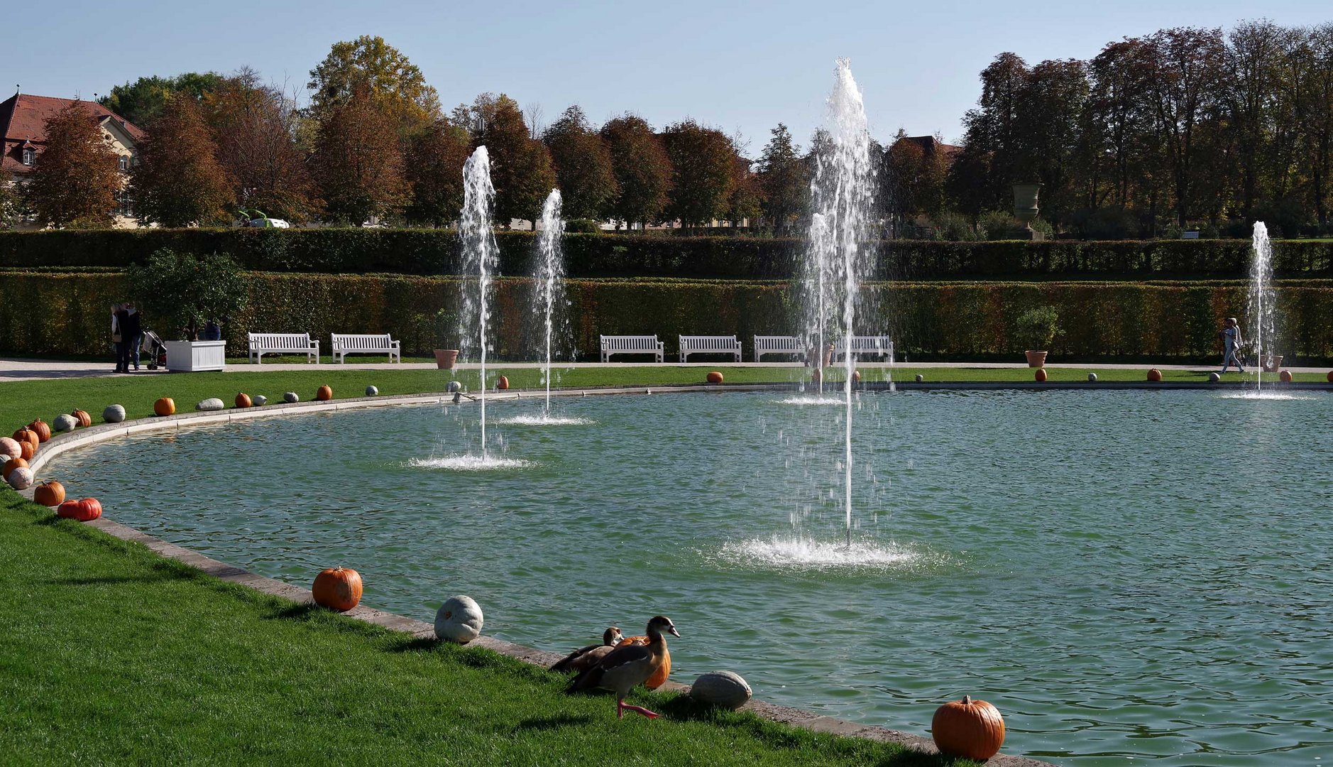 blühendes Barock -  Schloss Ludwigsburg