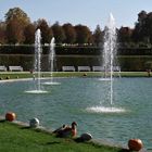 blühendes Barock -  Schloss Ludwigsburg