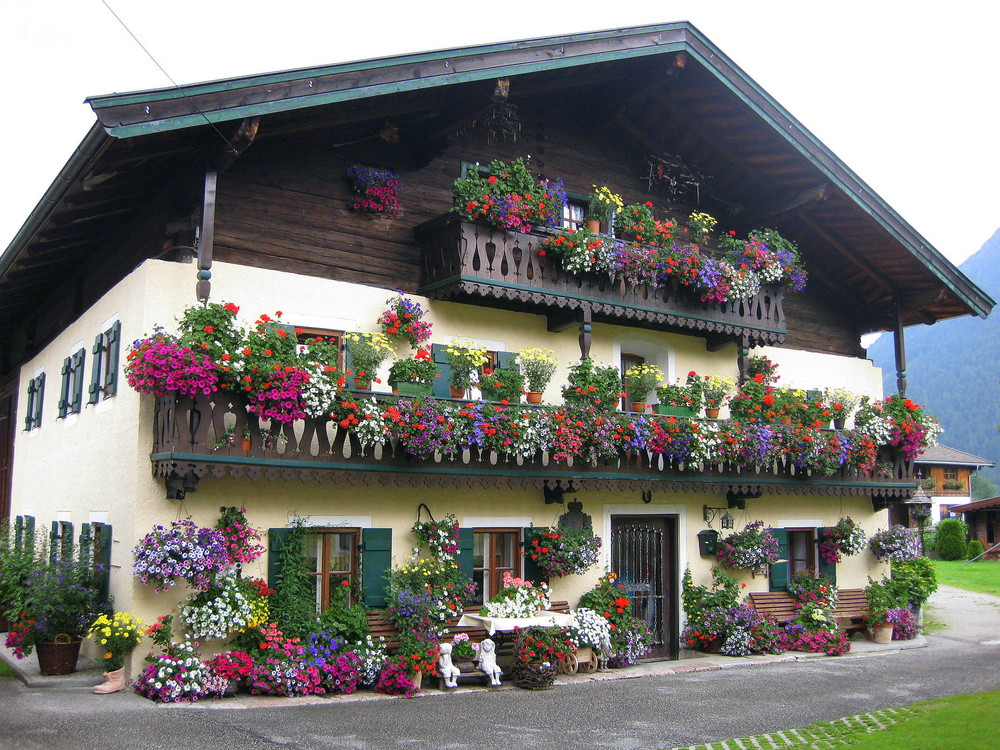 Blühendes Bauernhaus