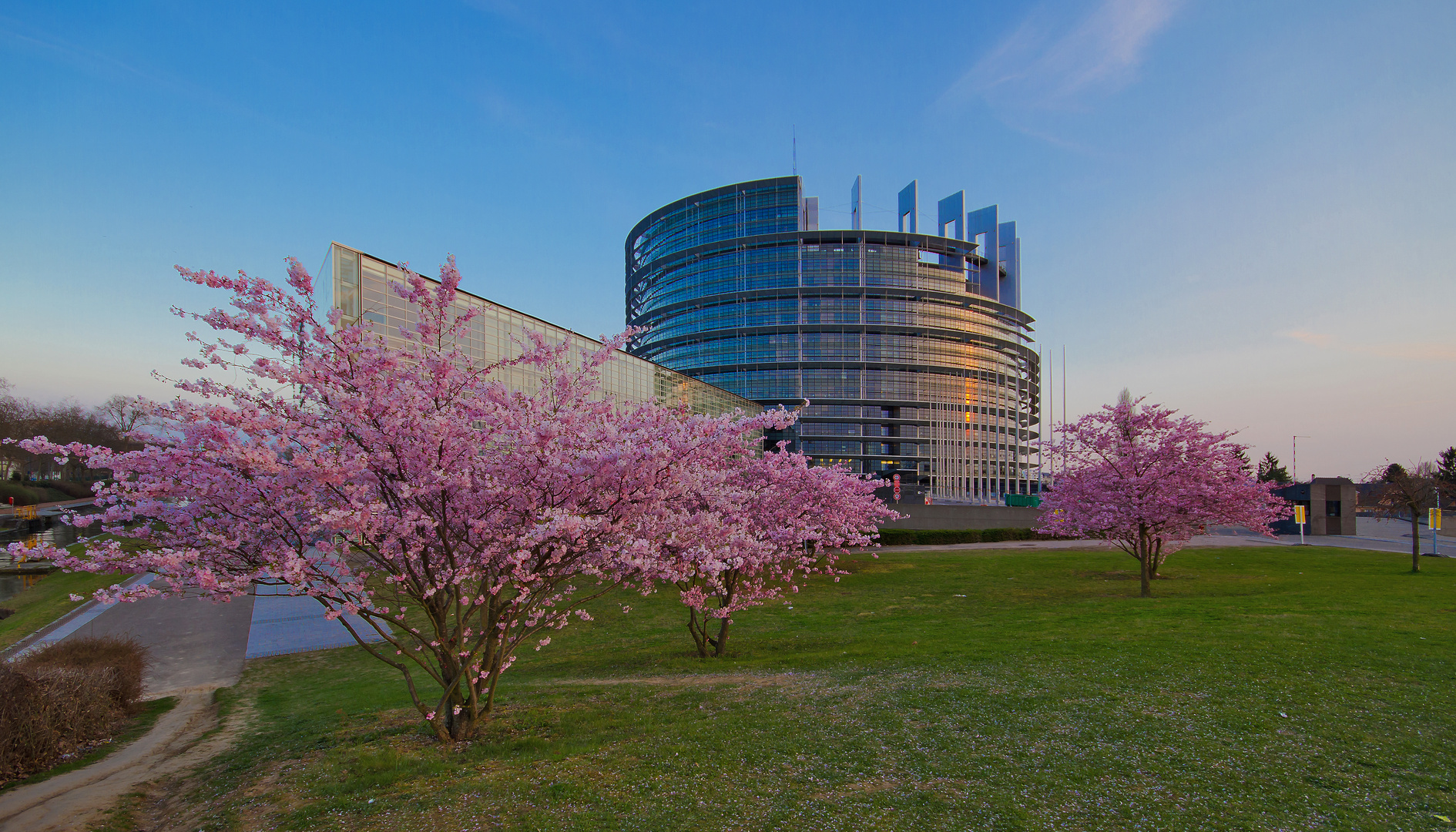 Blühendes Europa