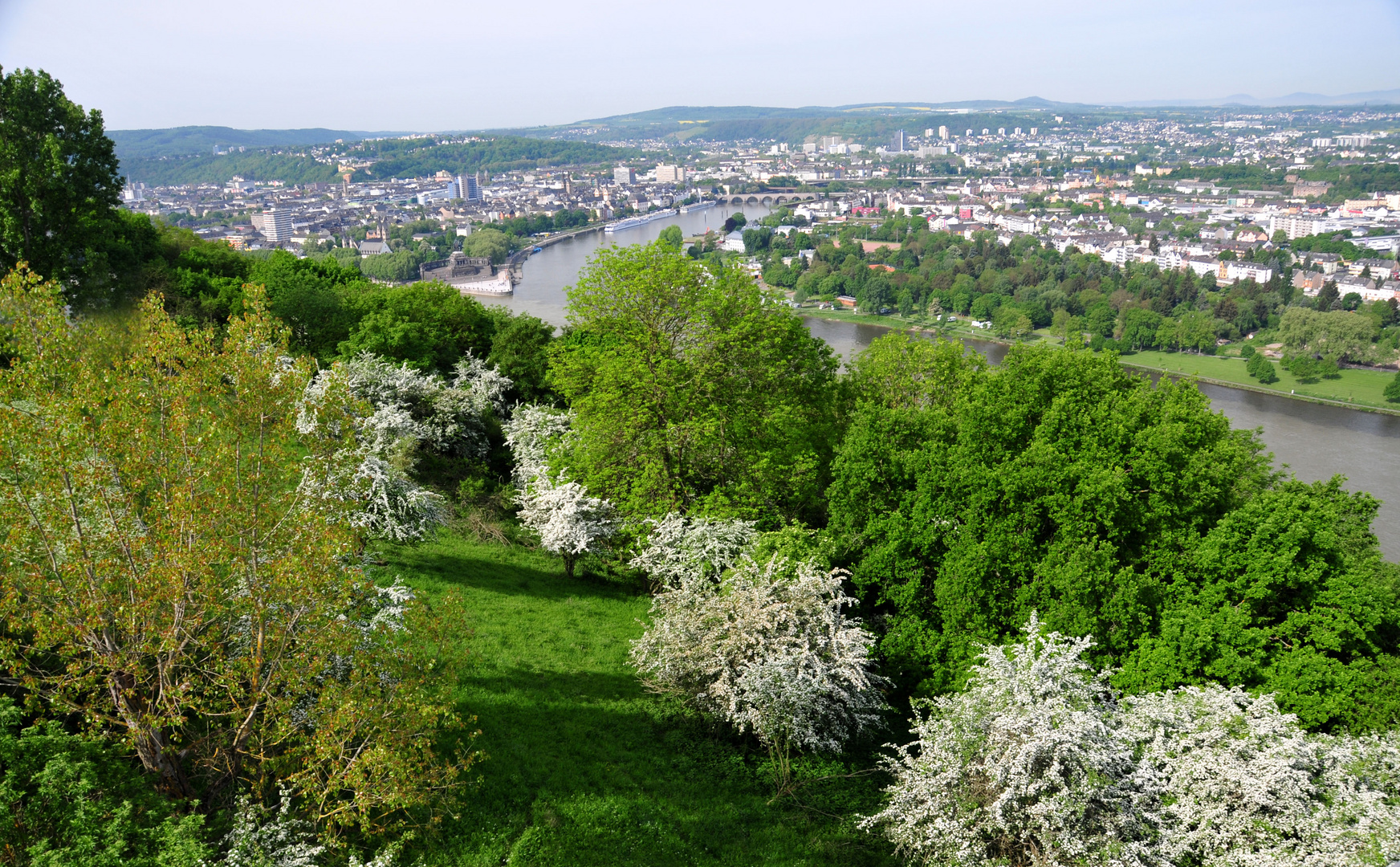 Blühendes Koblenz