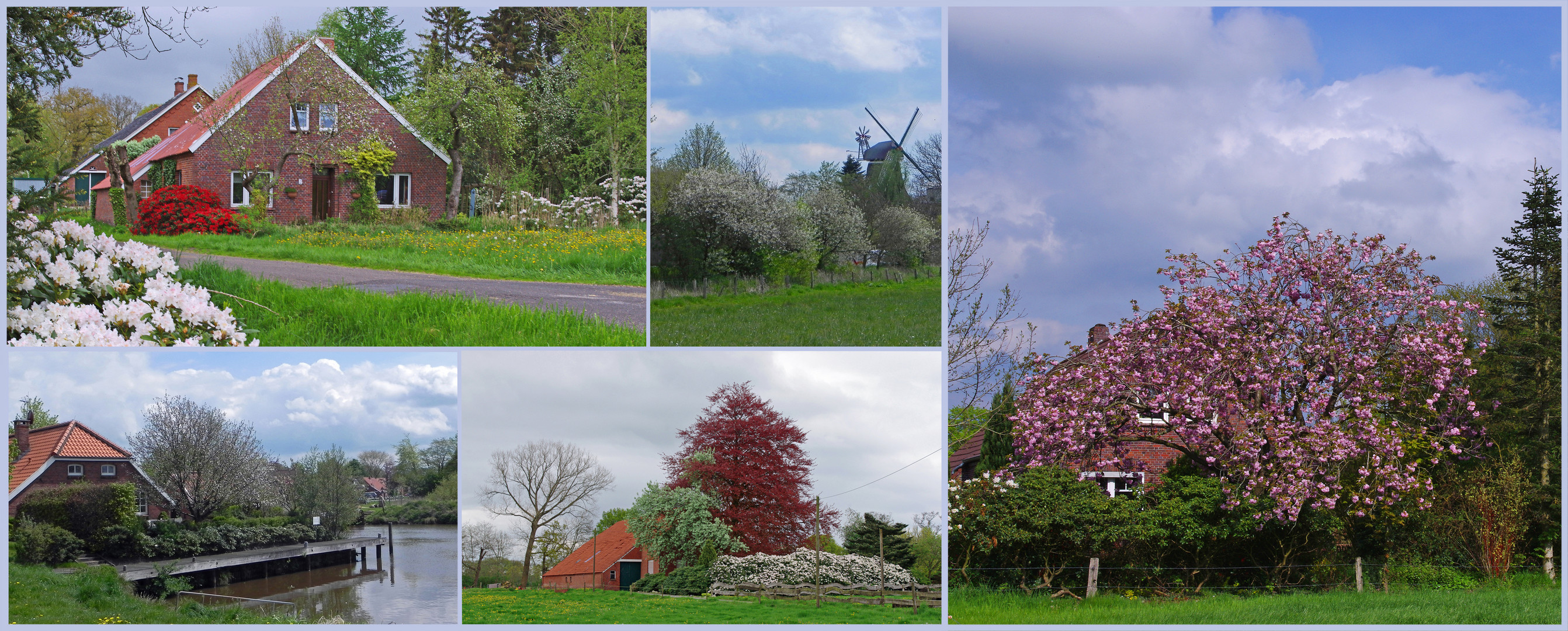 Blühendes Ostfriesland