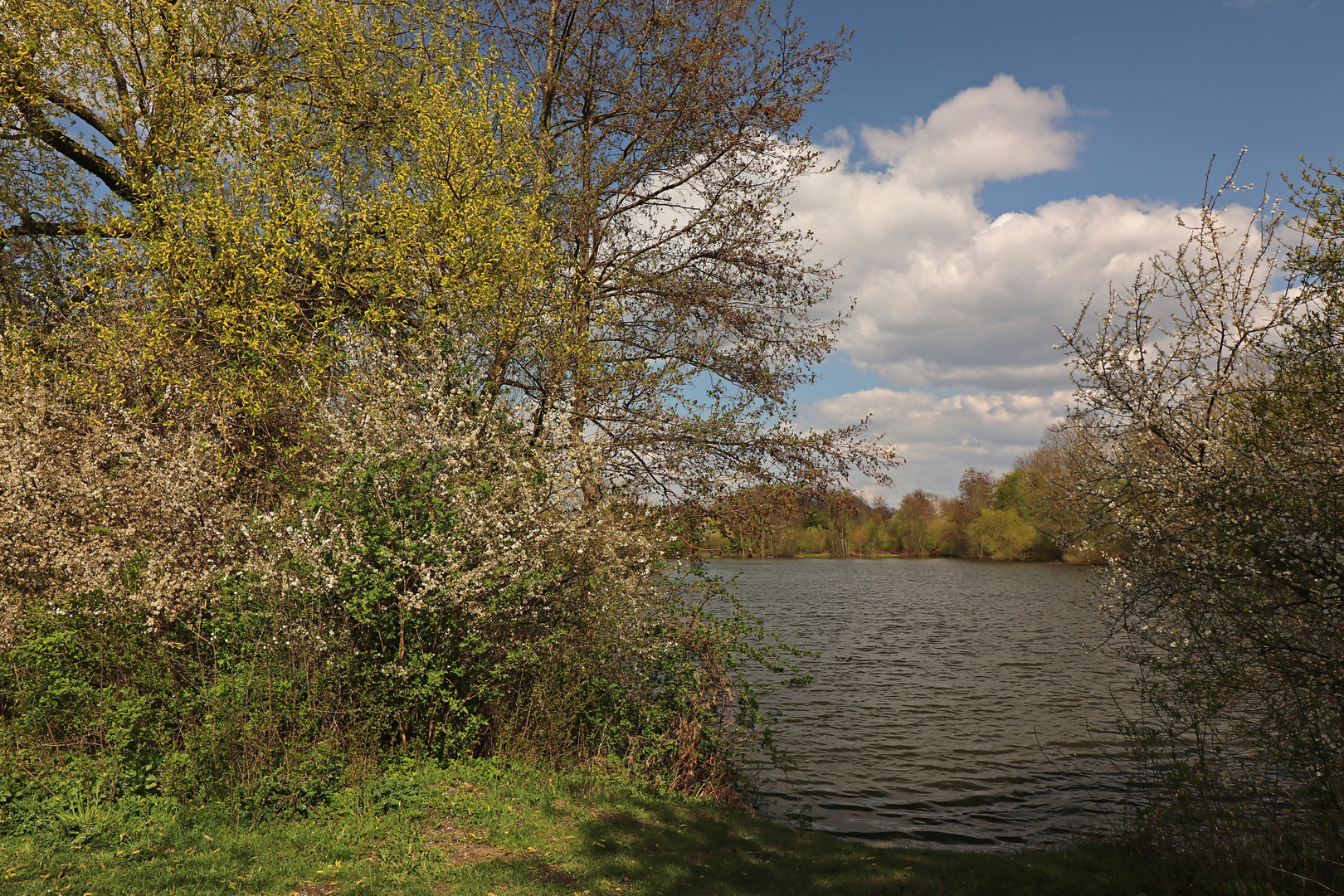 Blühendes Ufer