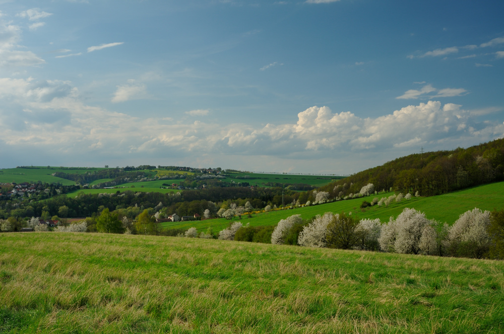 Blühendes Vorerzgebirge