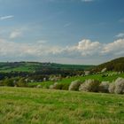 Blühendes Vorerzgebirge