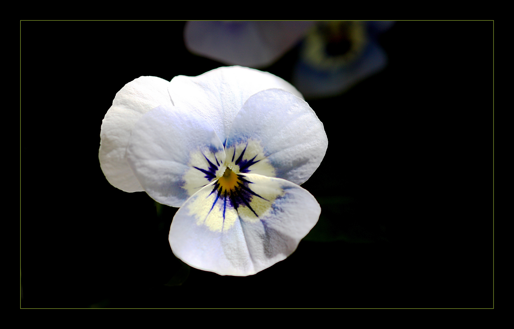 Blümchen aufm Balkon