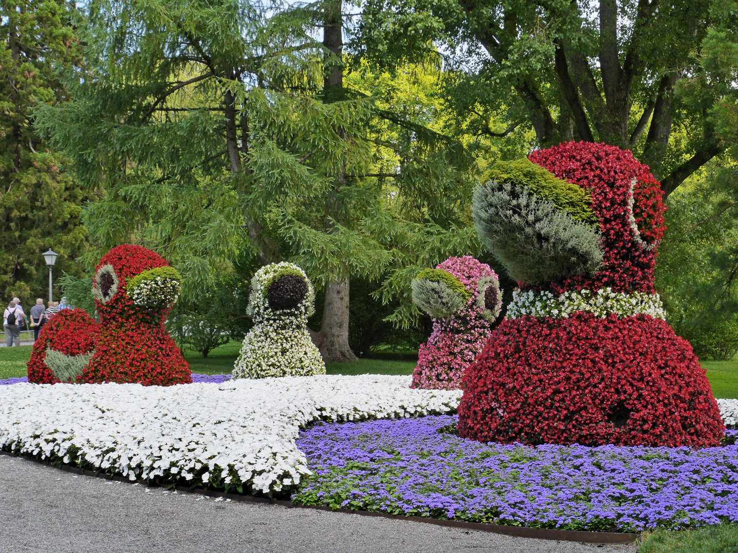 Blümchen-Enten auf der Insel Mainau