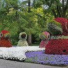 Blümchen-Enten auf der Insel Mainau