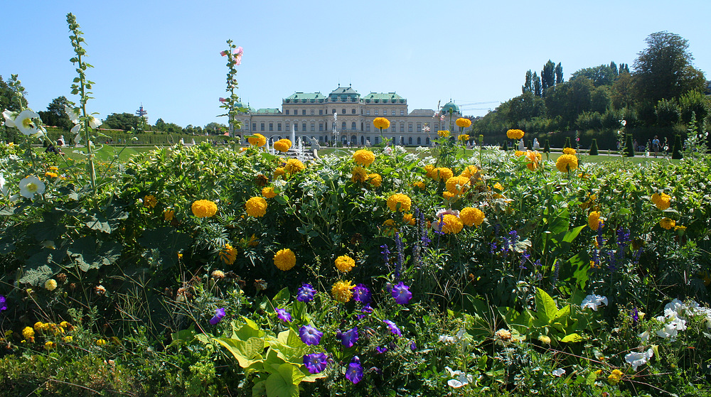 Blümchen im Belvedere