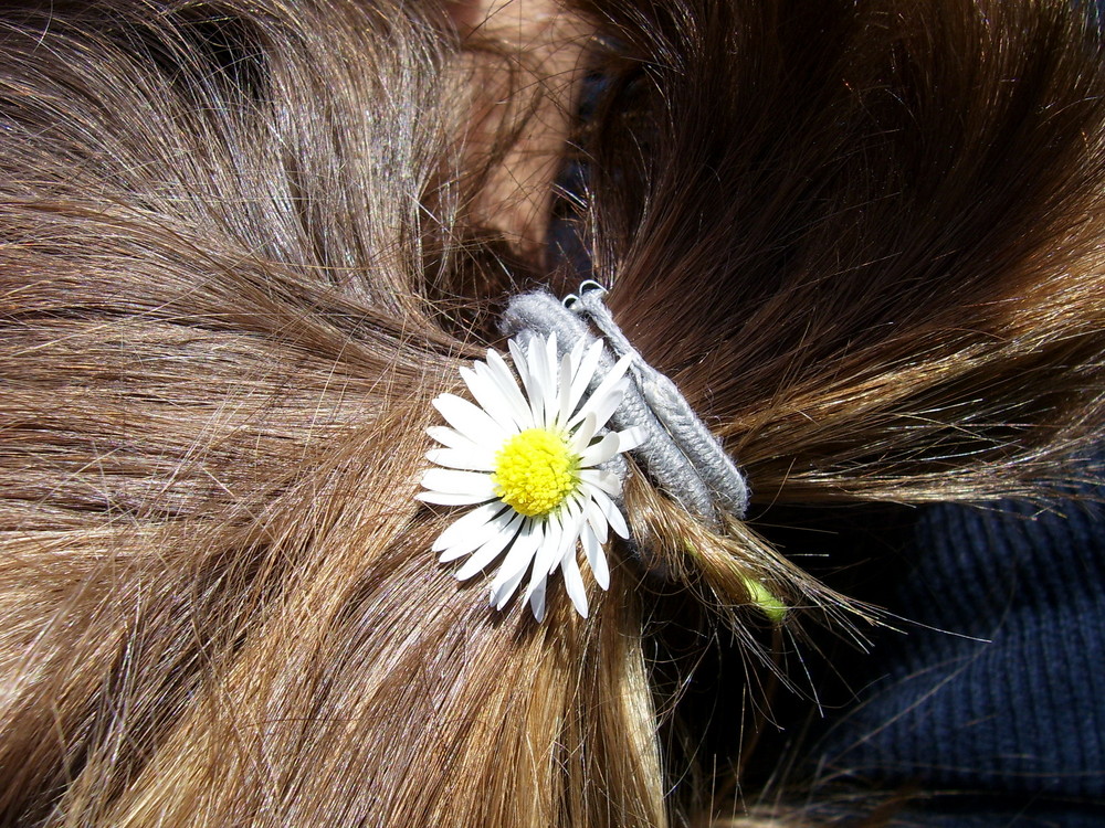 Blümchen im Haar