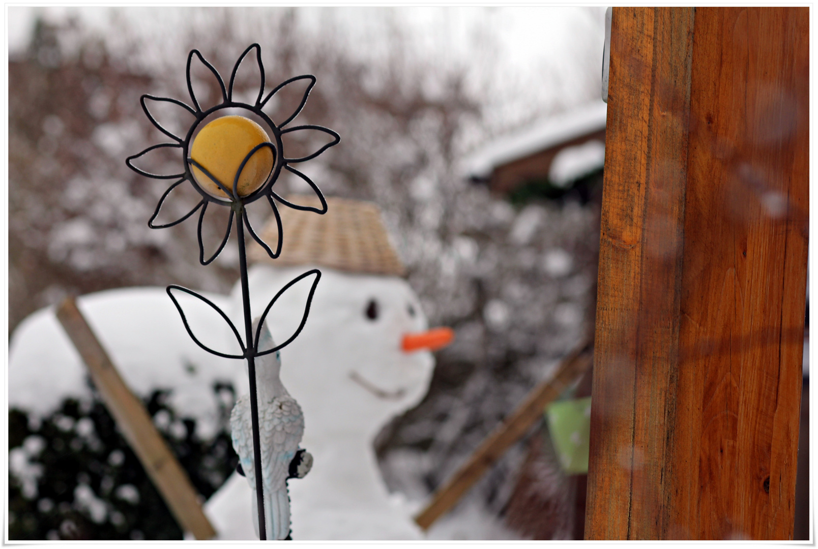 Blümchen im Schnee