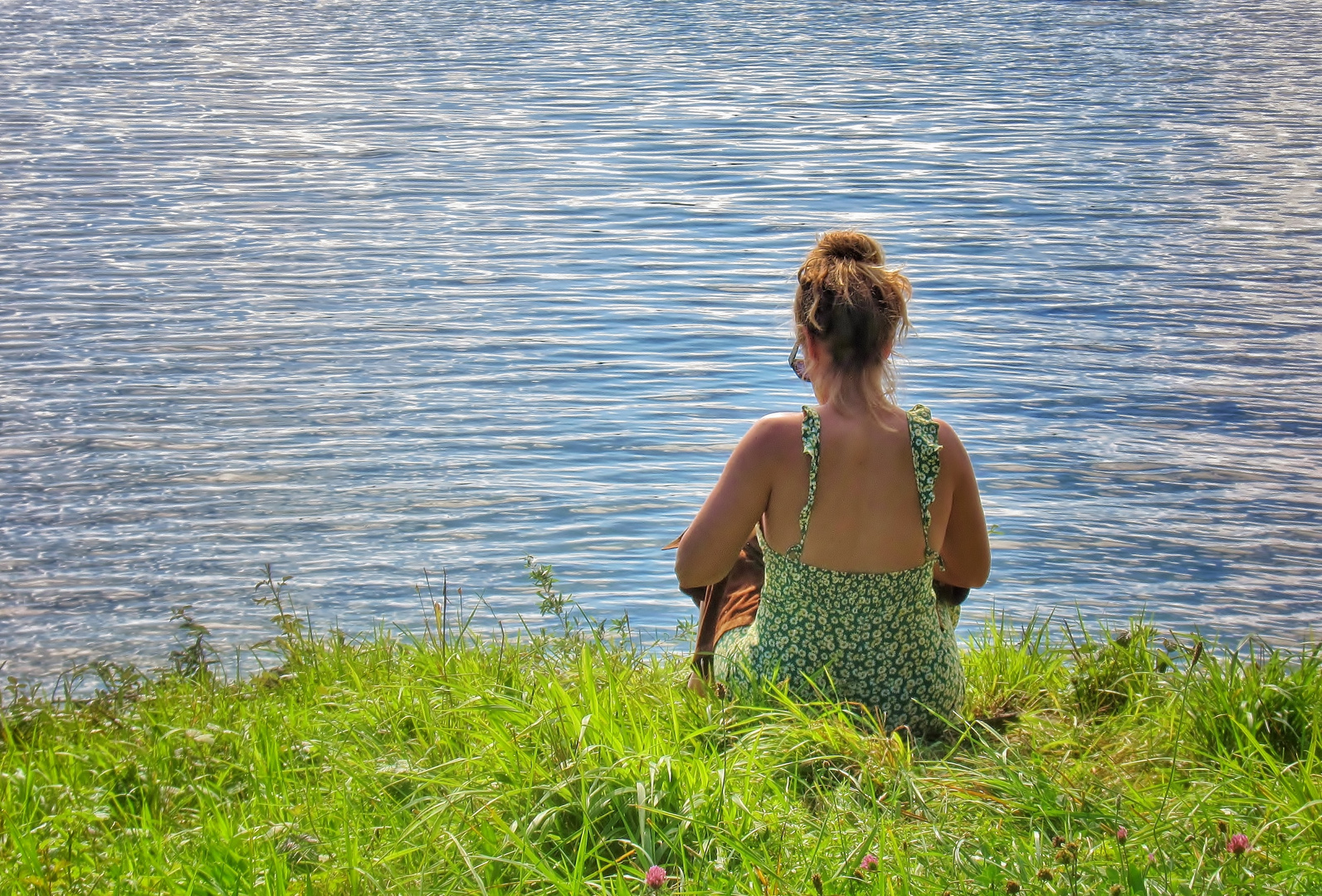 Blümchen in der Wiese