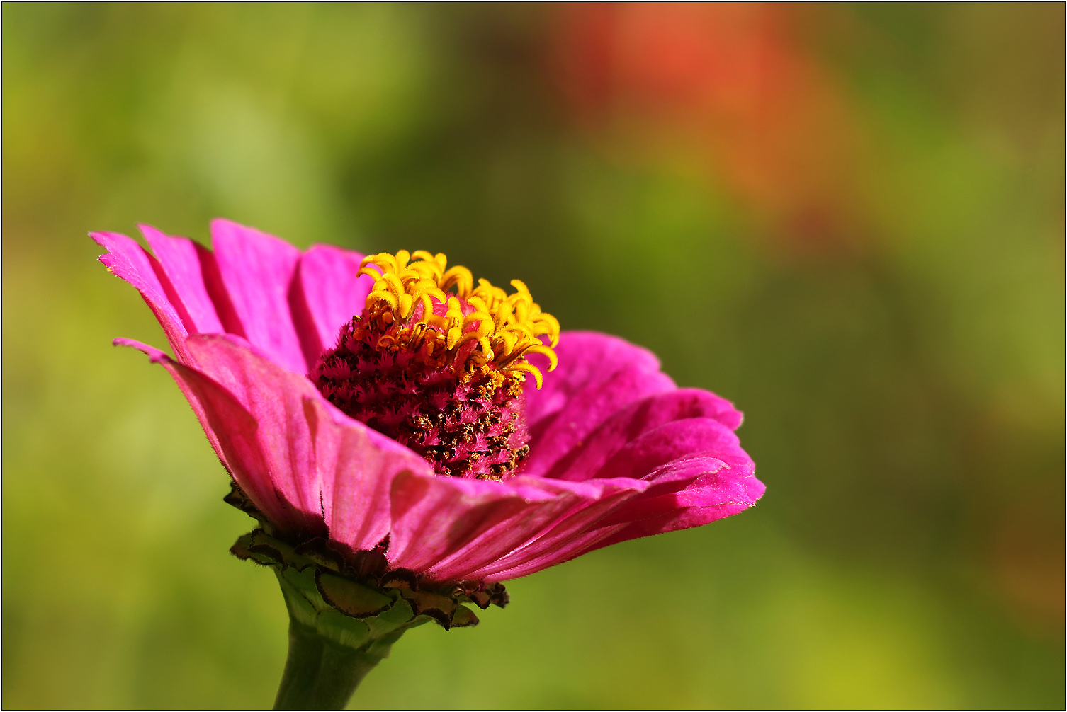 Blümchen in Pink...