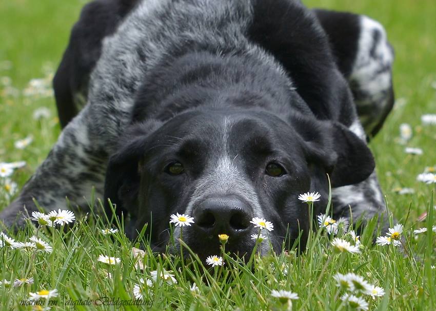 ....Blümchen inhallieren.....