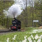 Blümchen pflücken verboten