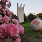 Blümchen Tempelhof Berlin