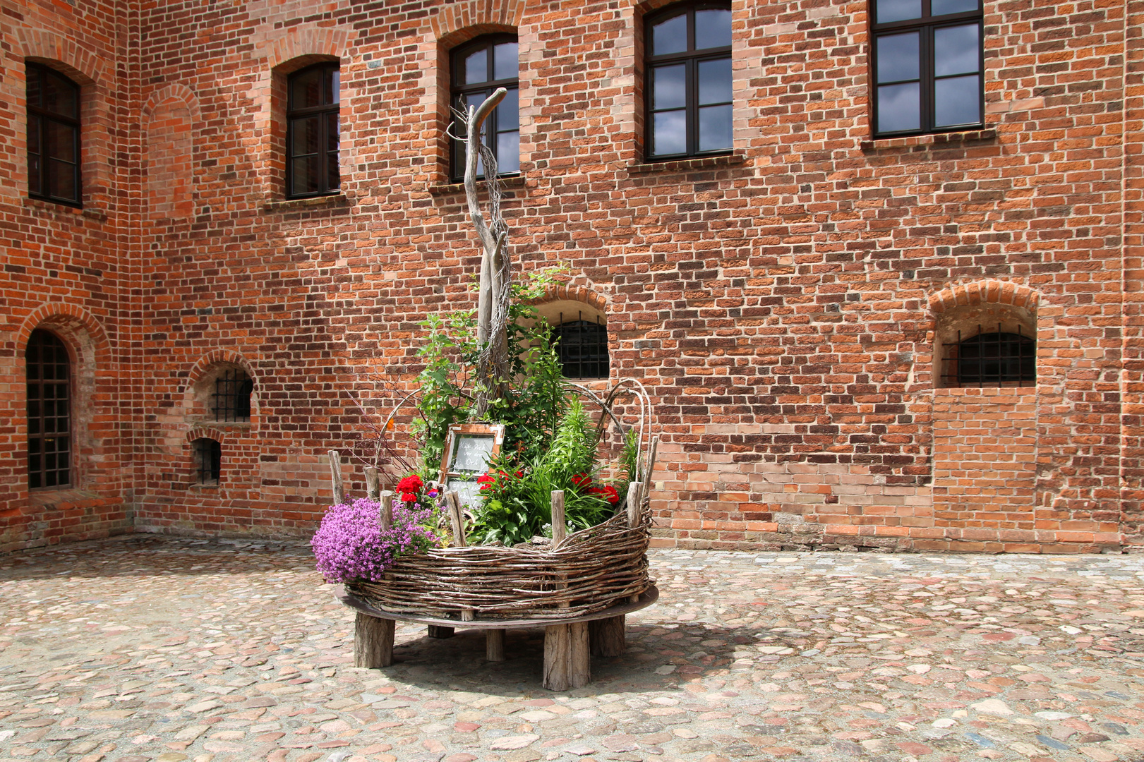 Blümchen vor Kloster Jerichow