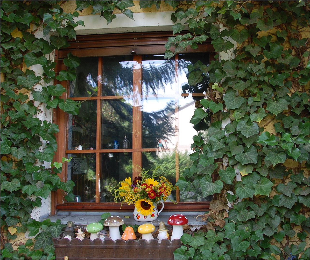 Blümchen vorm Fenster