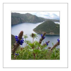 Blümchenblick in den Kratersee