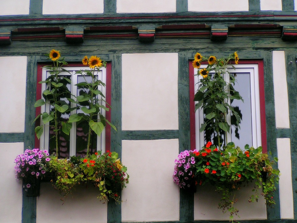 "Blümchenfachwerk"