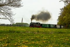 Blümchenfahrt auf schmaler Spur