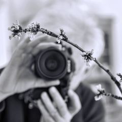 Blümchenphotograph bei der Arbeit