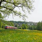 Blümchenwiese mit Bahn