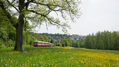 Blümchenwiese mit Bahn