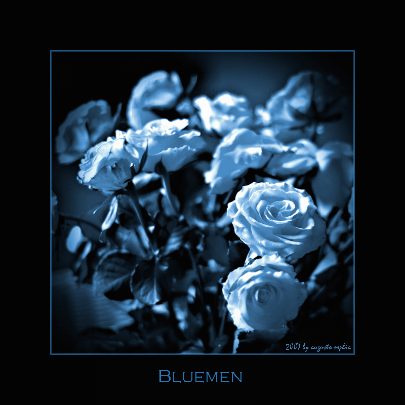 ---- bluemen -----