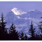 Blümlisalp im Berner Oberland im Morgenlicht!