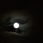 bluemoon