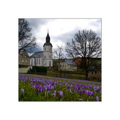 blümschenwiese :-) genauer krokuswiesen in drebach