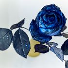 Blue_Rose