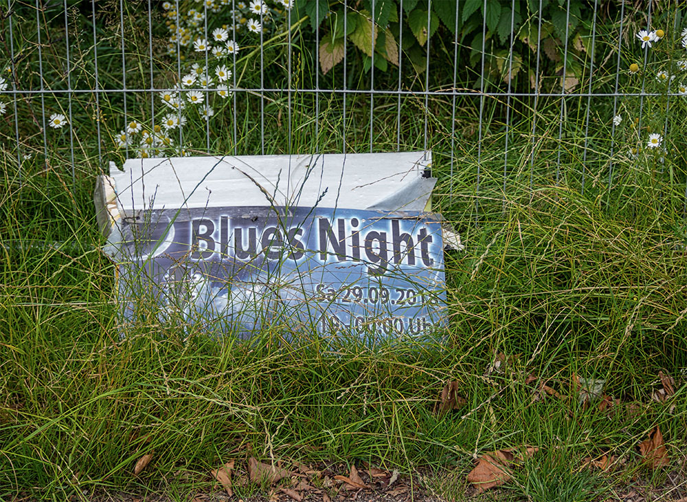  Blues Night im Grünen