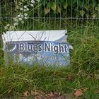  Blues Night im Grünen