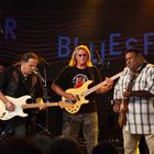 Bluesfest Gaildorf 2011 - Walter Trout - 7