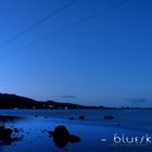 Blueskin bay