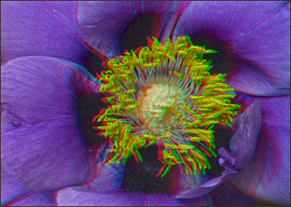 Blüte (3D)