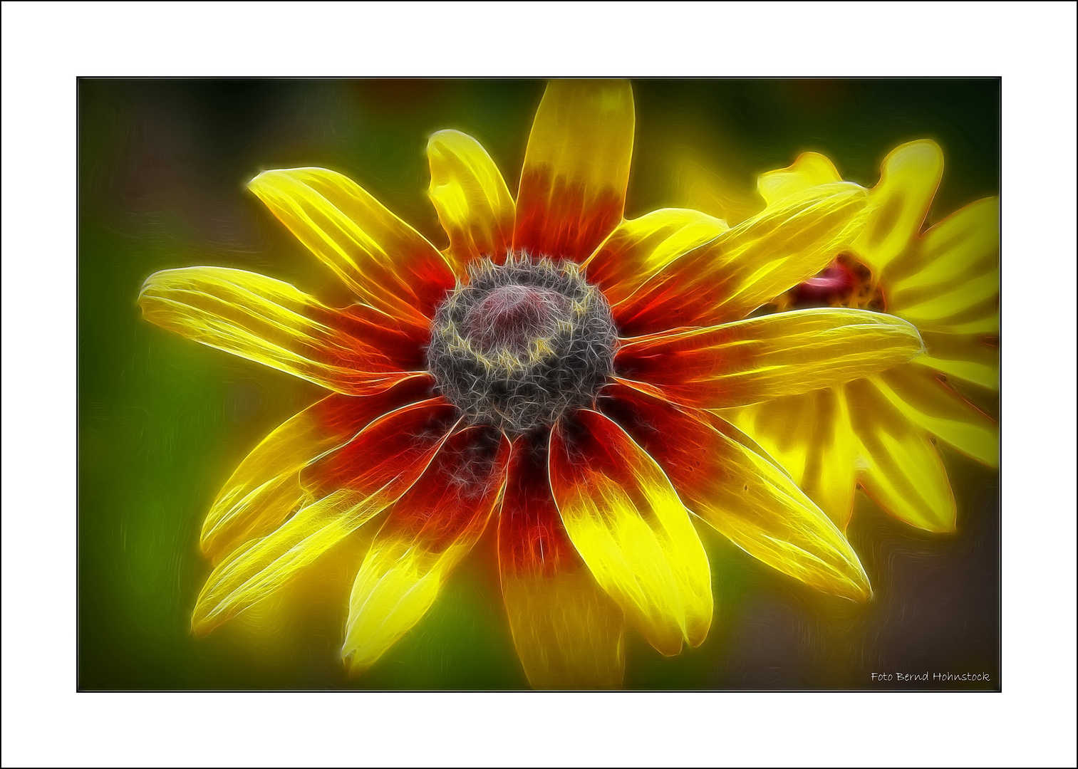 Blüte am Wegesrand ....