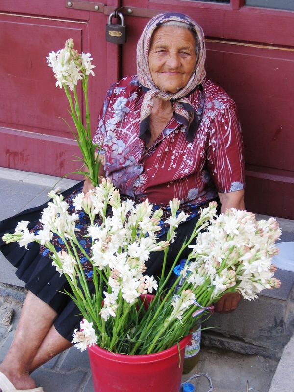 blüte des lebens