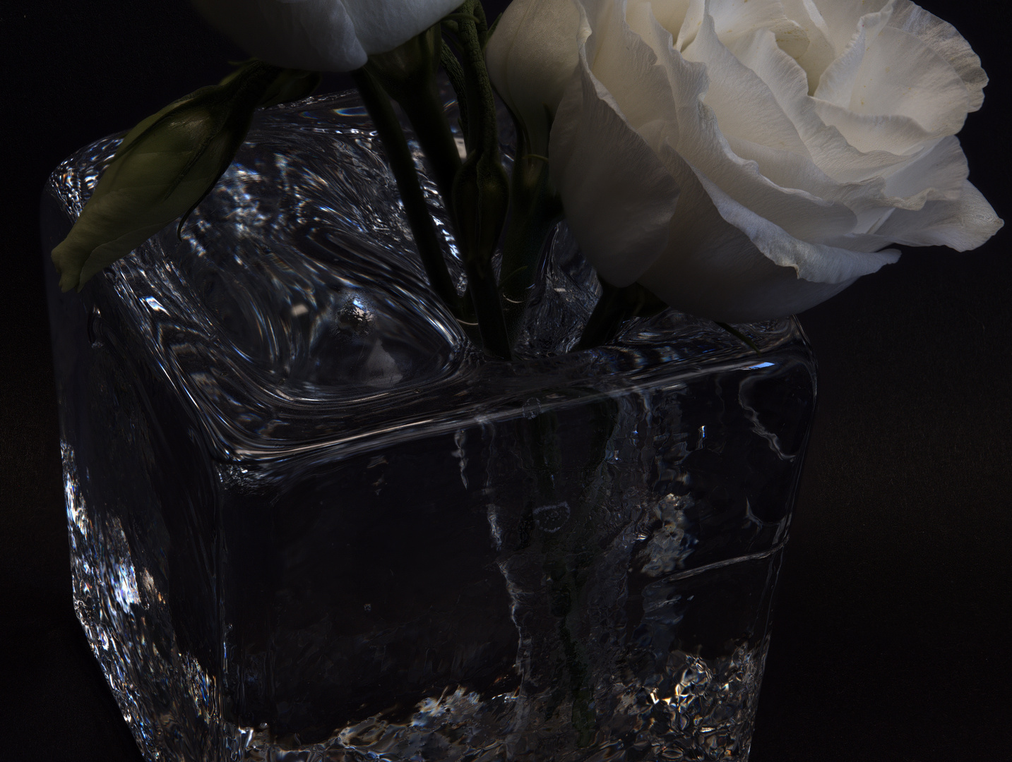 Blüte-Glas-Wasser