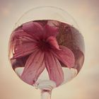 Blüte im Weinglas :)